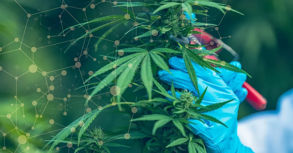 Manufacturing Quality - Decimal Engineered Systems